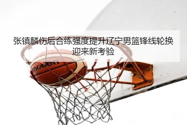 张镇麟伤后合练强度提升辽宁男篮锋线轮换迎来新考验